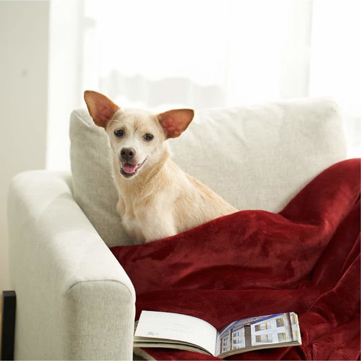 Best Fleece Throw Blanket on Amazon Apartment Therapy